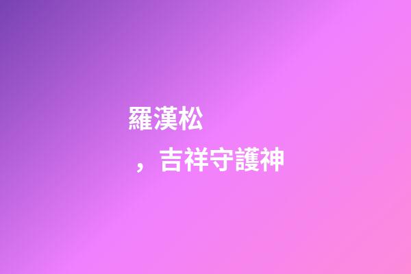 羅漢松，吉祥守護神